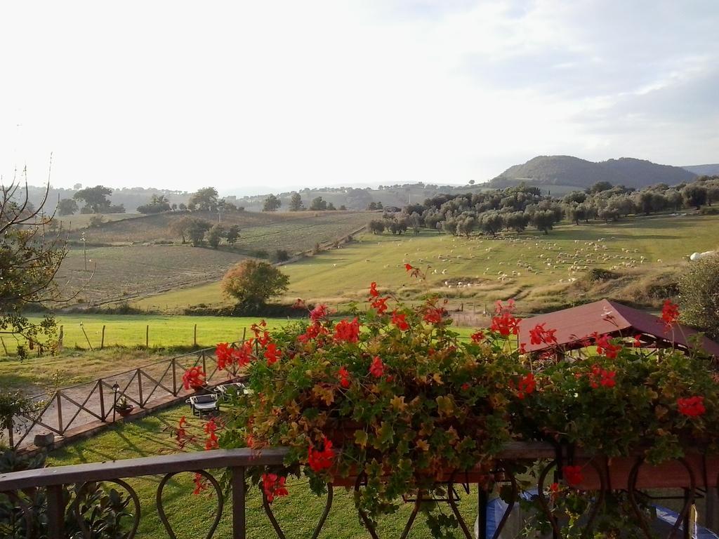 La Valle Degli Ulivi Bauernhof