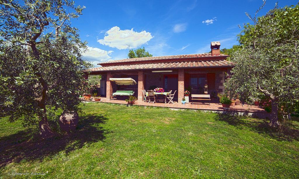 La Valle Degli Ulivi